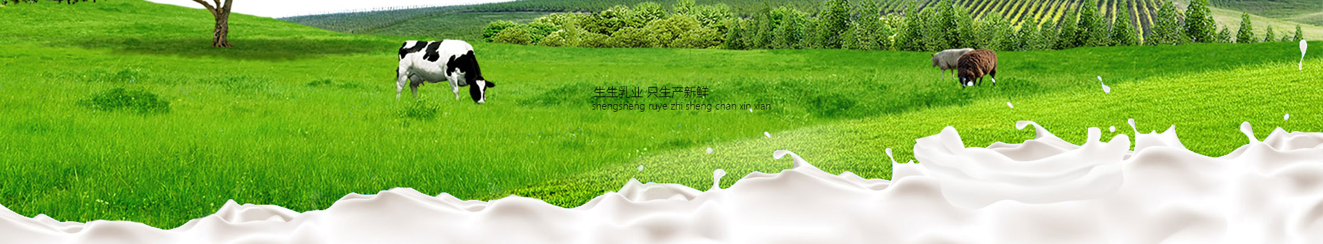 洛陽(yáng)訂奶_酸奶代理_酸奶招商_牛奶品牌-生生乳業(yè)