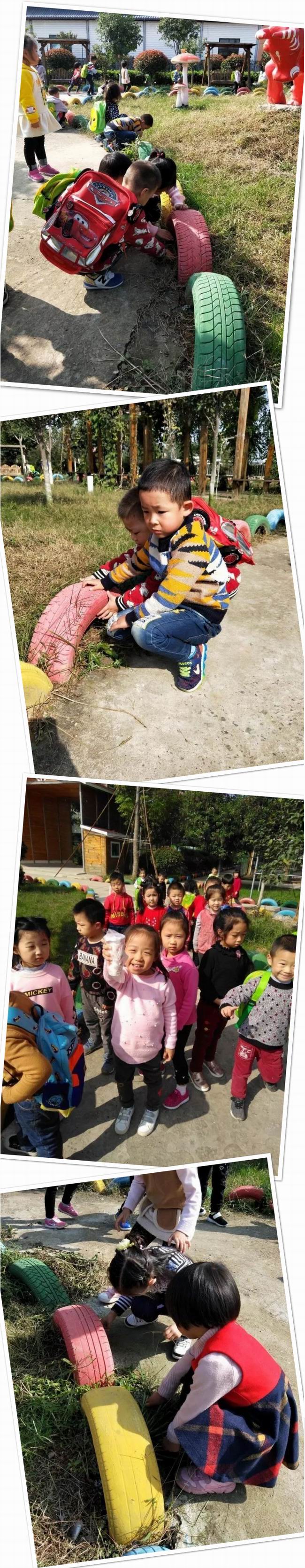 1509011423130453.jpg 41884587C2C8EE79DF82763AB8C970AD.JPG