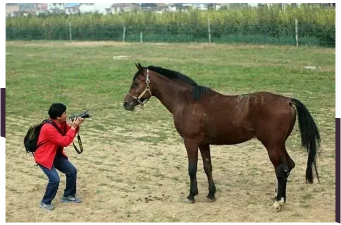 1536637516190851.png blob.png